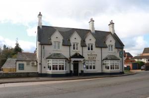 Picture of The White Hart