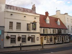 Picture of The Brave Old Oak