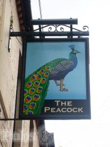 Picture of The Peacock