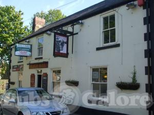 Picture of Black Bull