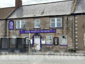 Picture of The White Horse