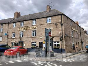 Picture of Golden Lion