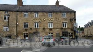 Picture of Golden Lion