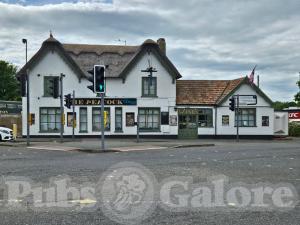 Picture of The Peacock