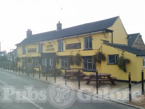 Picture of The Elm Tree
