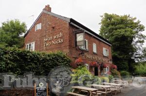 Picture of The Swan With Two Nicks