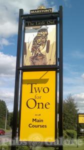 Picture of The Little Owl