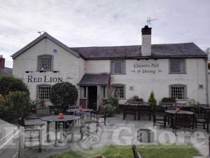 Picture of Red Lion