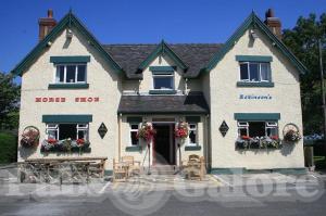 Picture of The Horseshoe Inn