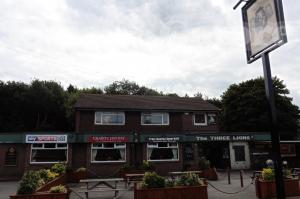 Picture of The Three Lions