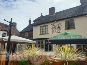 Picture of The White Hart