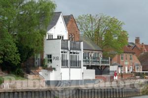 Picture of Swan & Salmon