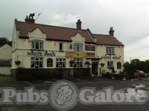 Picture of The White Swan