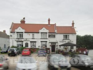 Picture of The White Swan