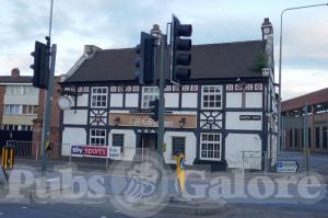 Picture of The White Swan