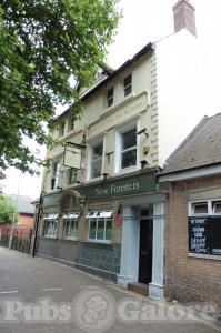 Picture of The New Foresters