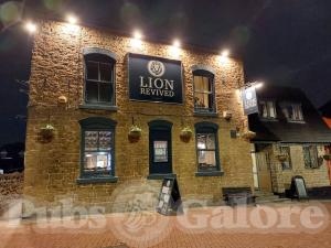 Picture of Lion Revived