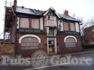 Picture of White Swan
