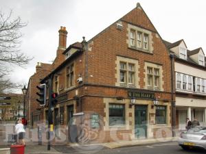 Picture of The Harp