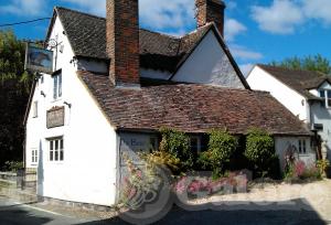 Picture of The Bear of North Moreton