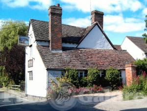 Picture of The Bear of North Moreton