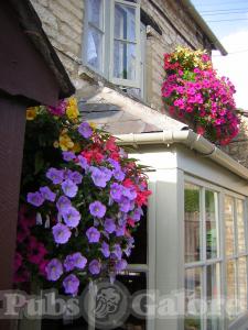 Picture of The Bell Inn