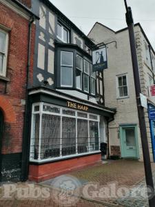 Picture of The Harp
