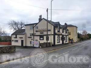 Picture of The Golden Lion