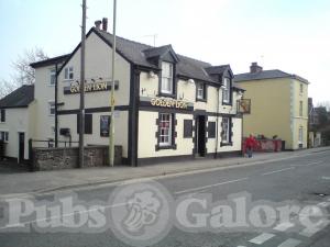 Picture of The Golden Lion