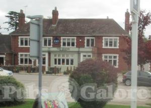 Picture of Ego at The Grapes