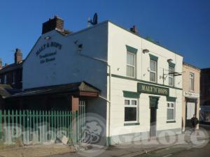 Picture of Malt 'N' Hops