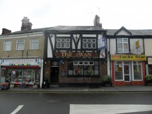 Picture of The Swan
