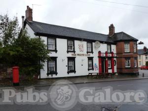 Picture of The White Lion
