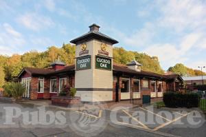 Picture of Cuckoo Oak
