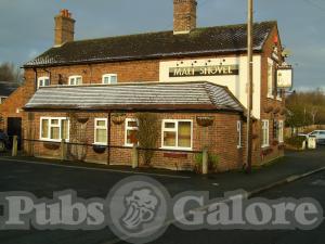 Picture of Malt Shovel