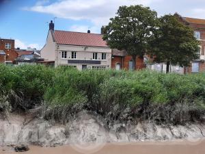 Picture of River Parrett Inn
