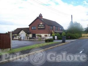 Picture of The Bird In The Barley
