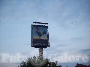 Picture of Gamecock Hotel