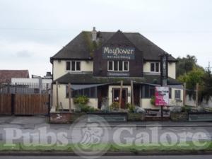 Picture of The Mayflower