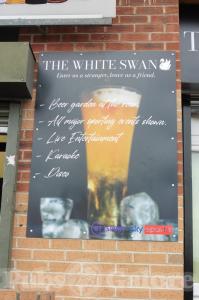 Picture of The White Swan