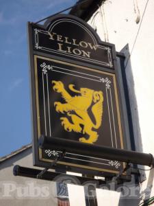 Picture of Yellow Lion