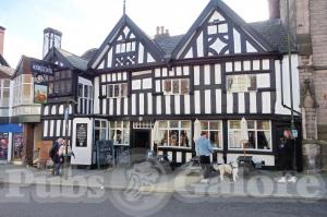 Picture of The Roebuck
