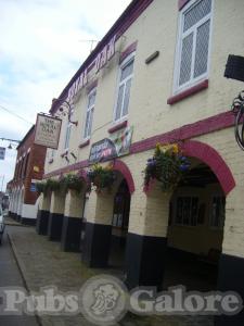 Picture of Royal Oak