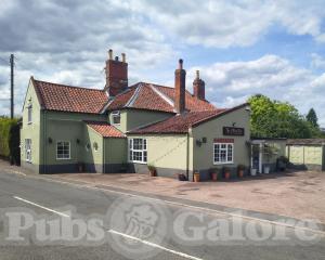 Picture of The Olive Tree