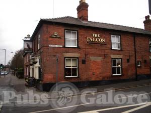Picture of Falcon