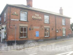 Picture of Falcon