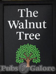 Picture of Walnut Tree