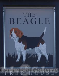 Picture of The Beagle