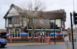 Picture of The Mulberry Tree