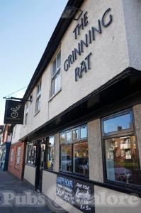 Picture of The Grinning Rat